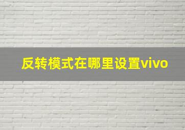 反转模式在哪里设置vivo