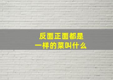 反面正面都是一样的菜叫什么