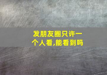 发朋友圈只许一个人看,能看到吗