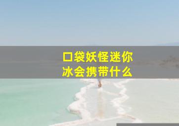 口袋妖怪迷你冰会携带什么