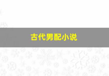 古代男配小说