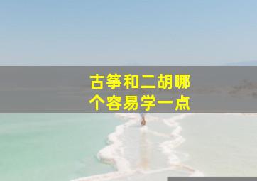 古筝和二胡哪个容易学一点