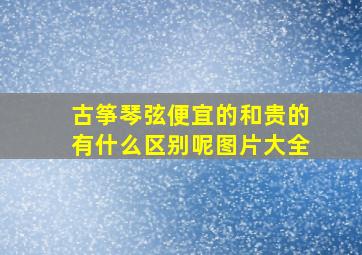 古筝琴弦便宜的和贵的有什么区别呢图片大全