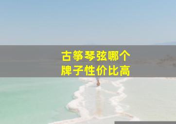 古筝琴弦哪个牌子性价比高