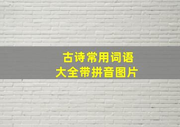 古诗常用词语大全带拼音图片