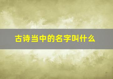 古诗当中的名字叫什么