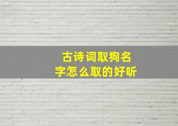 古诗词取狗名字怎么取的好听