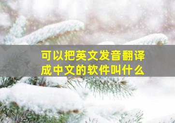 可以把英文发音翻译成中文的软件叫什么