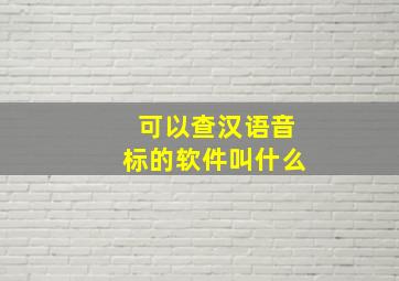 可以查汉语音标的软件叫什么