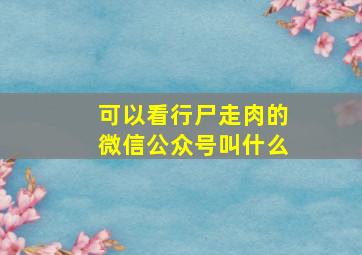 可以看行尸走肉的微信公众号叫什么