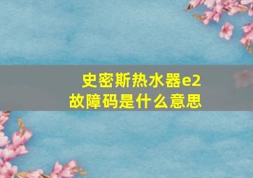 史密斯热水器e2故障码是什么意思