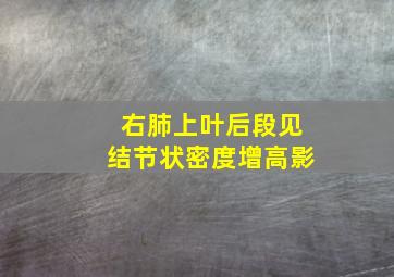 右肺上叶后段见结节状密度增高影