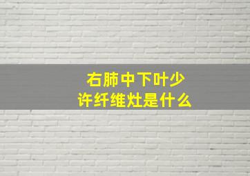 右肺中下叶少许纤维灶是什么