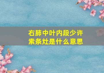 右肺中叶内段少许索条灶是什么意思