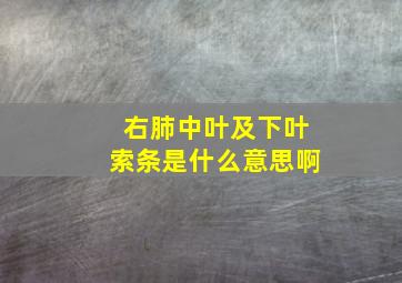 右肺中叶及下叶索条是什么意思啊