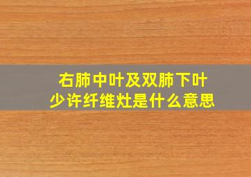 右肺中叶及双肺下叶少许纤维灶是什么意思