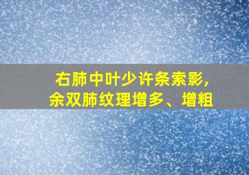 右肺中叶少许条索影,余双肺纹理增多、增粗