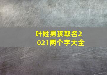 叶姓男孩取名2021两个字大全