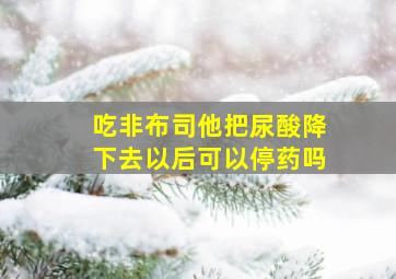 吃非布司他把尿酸降下去以后可以停药吗