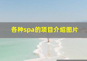 各种spa的项目介绍图片