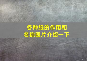 各种纸的作用和名称图片介绍一下