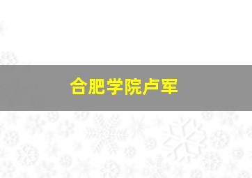 合肥学院卢军