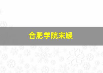 合肥学院宋媛