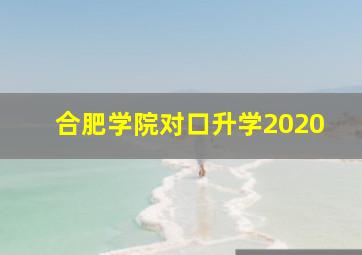 合肥学院对口升学2020