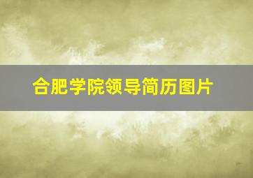 合肥学院领导简历图片