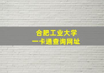 合肥工业大学一卡通查询网址