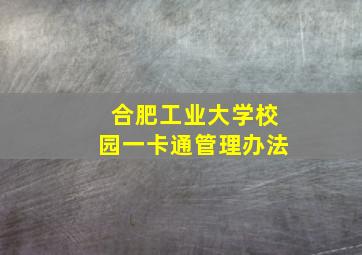 合肥工业大学校园一卡通管理办法