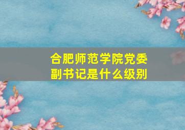 合肥师范学院党委副书记是什么级别