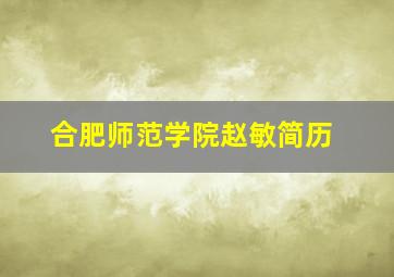 合肥师范学院赵敏简历