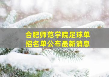 合肥师范学院足球单招名单公布最新消息