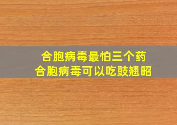 合胞病毒最怕三个药合胞病毒可以吃豉翘昭