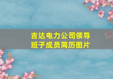 吉达电力公司领导班子成员简历图片