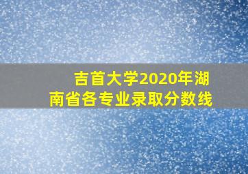 吉首大学2020年湖南省各专业录取分数线