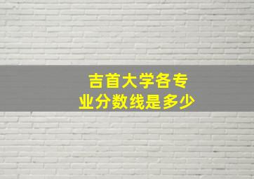 吉首大学各专业分数线是多少