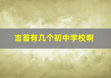 吉首有几个初中学校啊