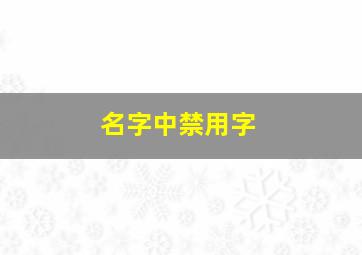 名字中禁用字