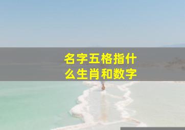 名字五格指什么生肖和数字