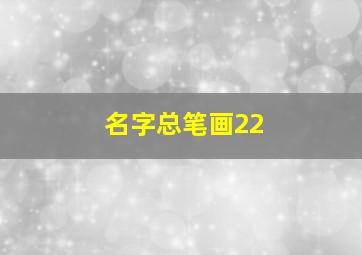 名字总笔画22