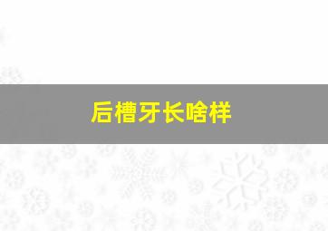 后槽牙长啥样