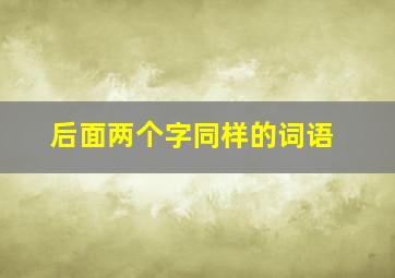 后面两个字同样的词语