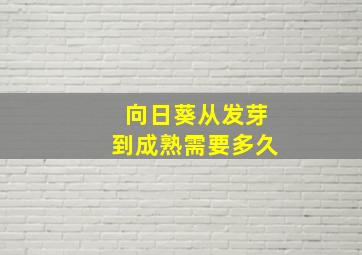 向日葵从发芽到成熟需要多久