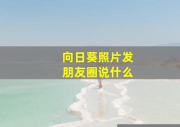 向日葵照片发朋友圈说什么