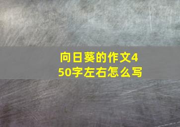 向日葵的作文450字左右怎么写