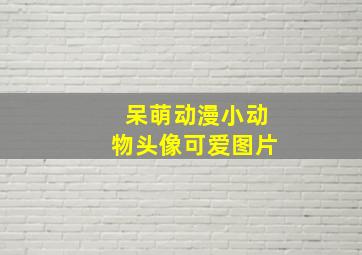 呆萌动漫小动物头像可爱图片