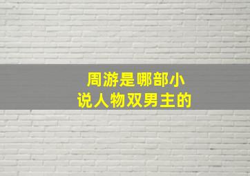 周游是哪部小说人物双男主的