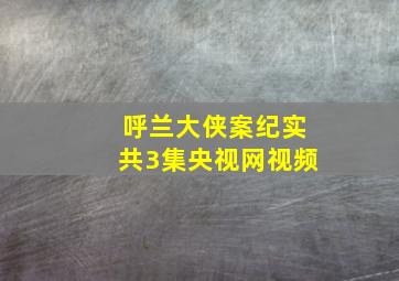 呼兰大侠案纪实共3集央视网视频